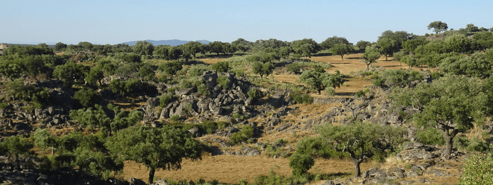 Alentejo landscape 