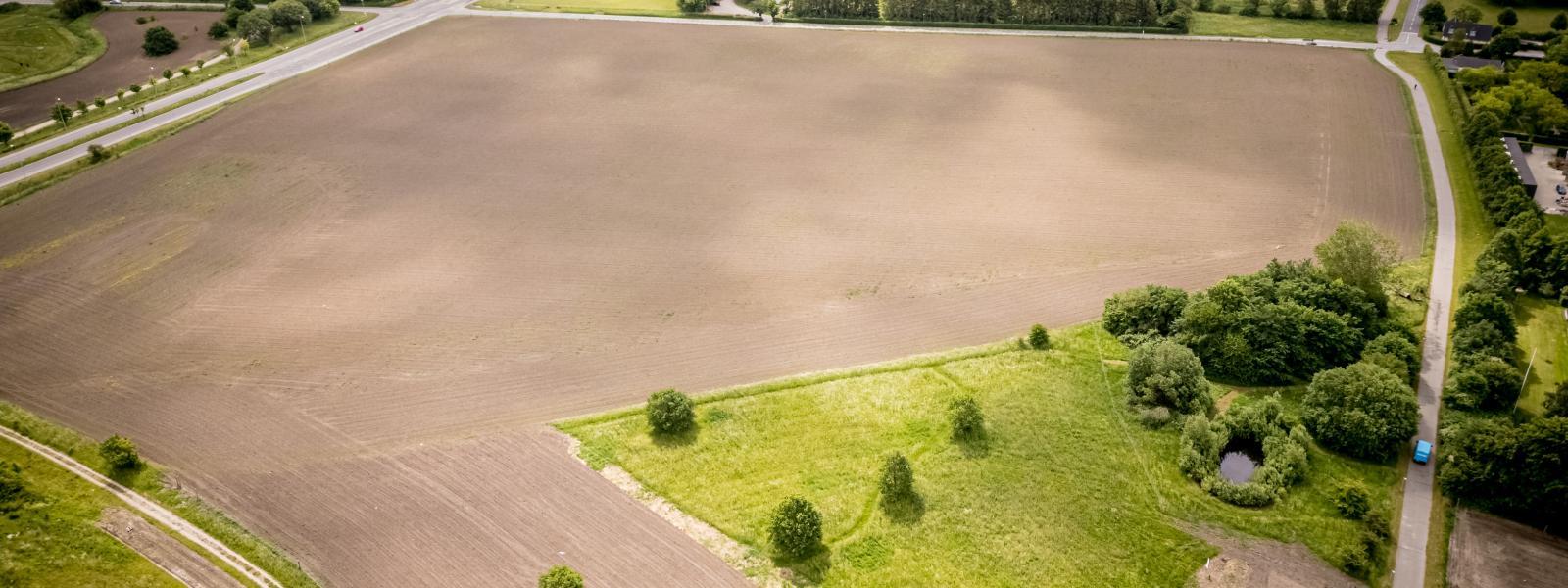 Denmark Farmed Landscape