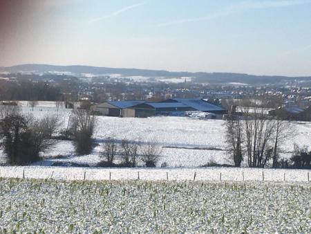 Farm landscape in winter with a house in the middle of it 