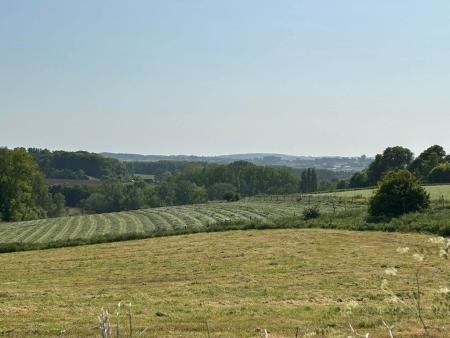 Landscape image of a farm on a sunny day