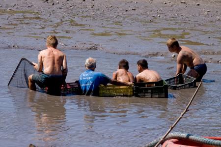 Five men fishing in a row at a low water level