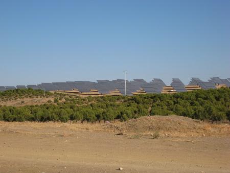 Solar park on a dry grassland behind olive trees