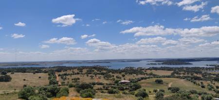 Landscape of dry grassland with trees and water on a sunny day