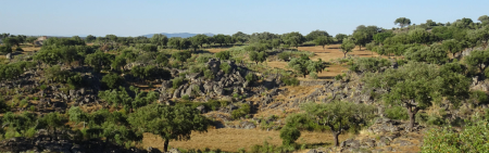 Alentejo landscape 