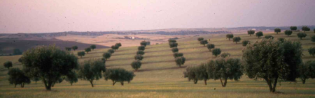 Portugal Photovoice Image