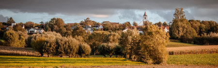 MOSAIC Landscape - field, trees and a building in the background