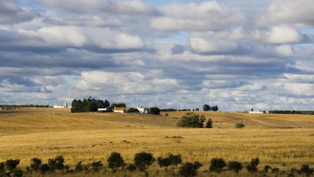 Alentejo landscape