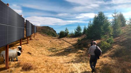 Solar panel visualisation with sheep and a person 