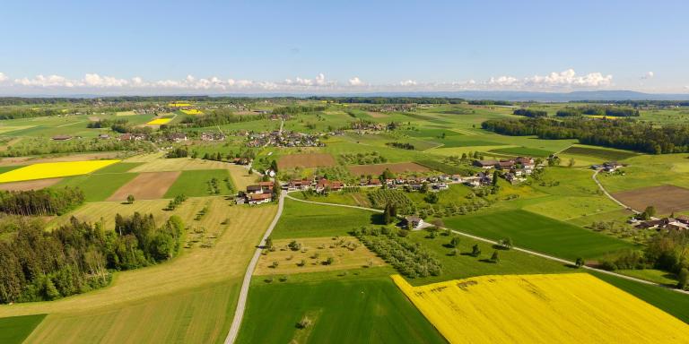 birds-eye-view-fields-green-blue-sky