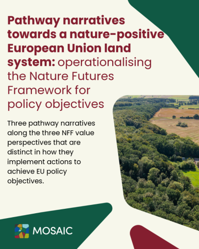Pathway narratives towards a nature-positive European Union land system: operationalising the Nature Futures Framework for policy objectives