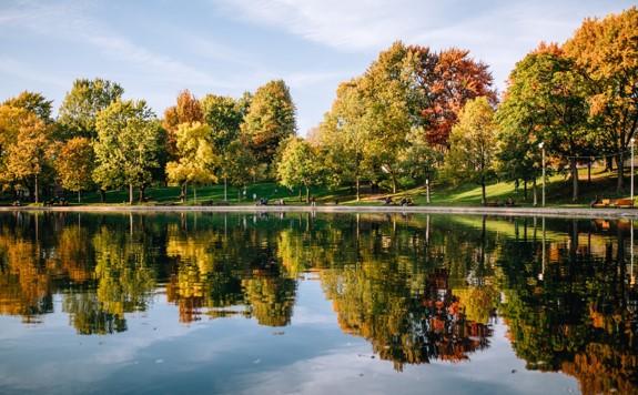 NBS Simulation Visualisation Tool